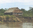 Snapshot of a thatched house along the bank